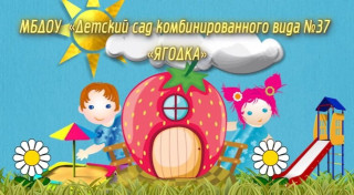 Муниципальное бюджетное дошкольное образовательное учреждение «Детский сад комбинированного вида № 37»